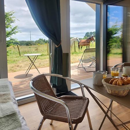 Gites & Tiny Houses Les Hauts De Toulvern Baden Phòng bức ảnh