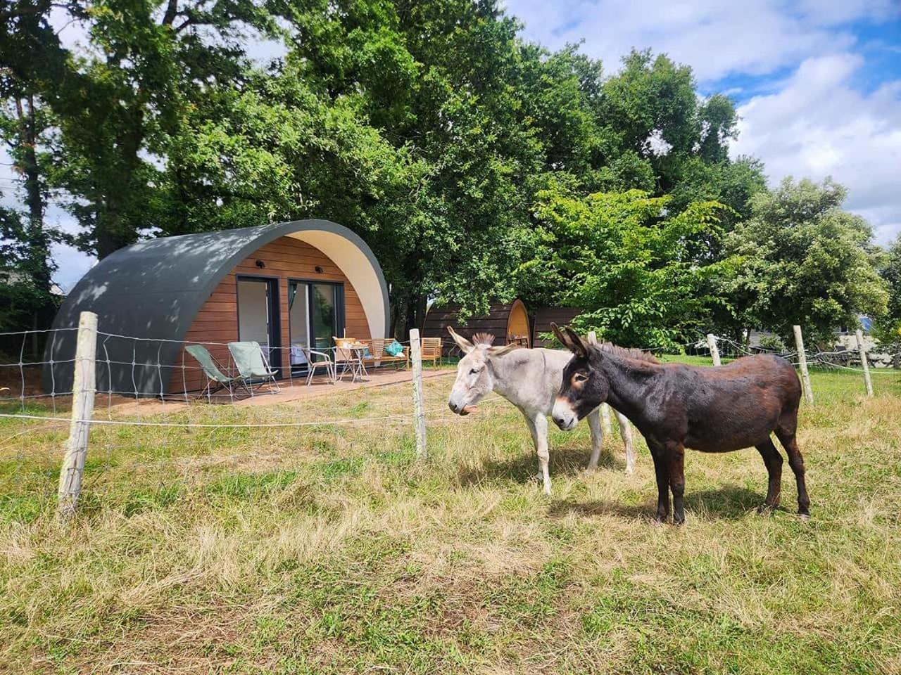 Gites & Tiny Houses Les Hauts De Toulvern Baden Phòng bức ảnh