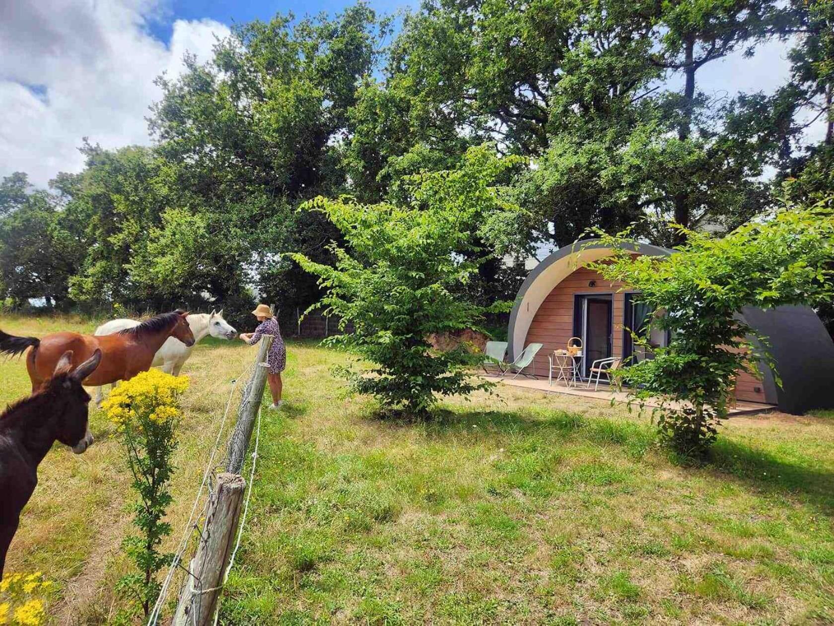 Gites & Tiny Houses Les Hauts De Toulvern Baden Phòng bức ảnh